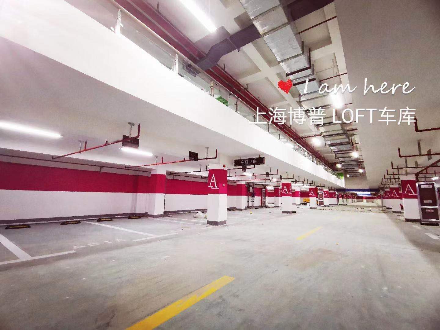 洛阳LOFT车库“肤白、貌美、大长腿”实锤!